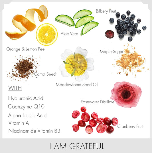 Anti Age Organic Face Serum Facial Moisturizer Rosewater & Glycerin - Retinol - Vitamin C - Niacinamide - Coenzyme Q10 - Hyaluronic Acid is Hydrating and Regenerates Skin. 2 FL OZ Glass Bottle W/Pump